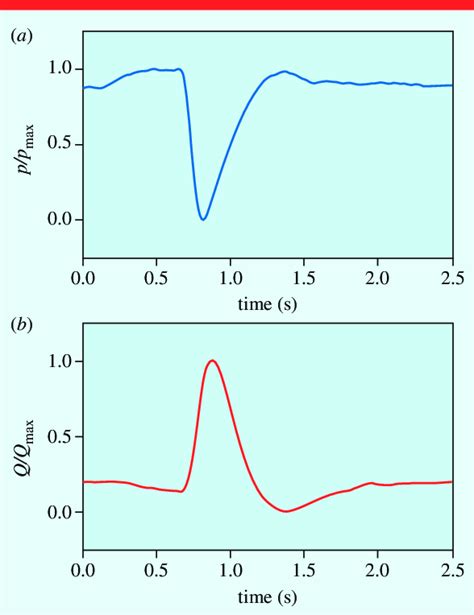 Expansion pulse wave formation. The waveforms of pressure (A) and flow ...