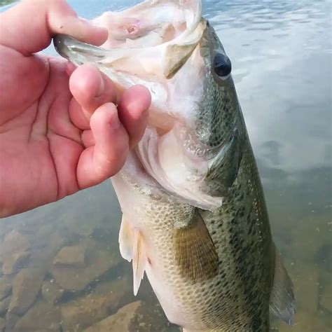 ᐅ Horse Creek Reservoir fishing reports🎣• Brighton, CO (United States ...