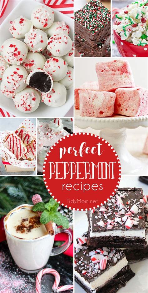 Perfect Peppermint Recipes for the Holidays | TidyMom®