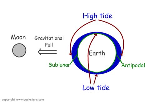 Explain State What Causes Tides On Earth - The Earth Images Revimage.Org