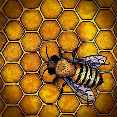 Bee Honeycomb Tattoo Design