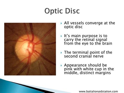 PPT - Basic Ocular Anatomy PowerPoint Presentation, free download - ID ...