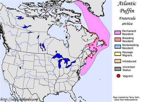 Atlantic Puffin - Species Range Map