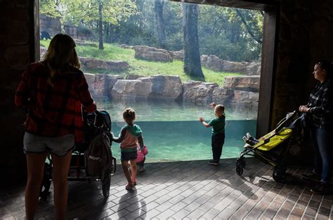 Nashville Zoo: 11 tips to make the most of your visit