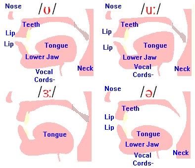 Sounds Pronunciation