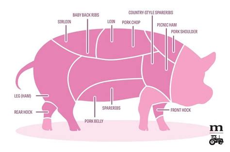 美国超市里猪肉部位中英文对照 – 美国攻略