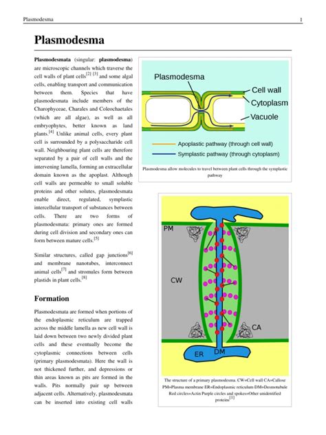 plasmodesmata | Zoology | Molecular Biology