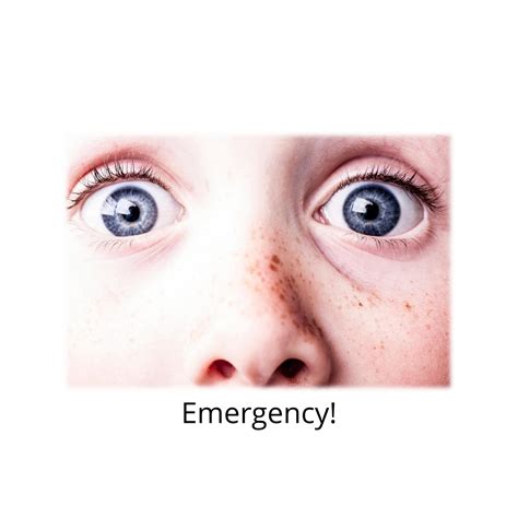 Emergency book_original - cmjackson - Page 1 - 11 | Flip PDF Online ...