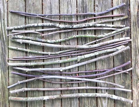 Extra Long Wood Tree Branches for Arts, Crafts, Home Decor | Action Craftworks LLC