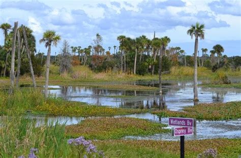 Orlando Wetlands Park