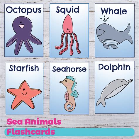 Sea Animals Flashcards Sea Animals Ocean Animals | Etsy