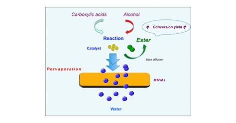 Pervaporation-Assisted Esterification Reactions by Means of Mixed Matrix Membranes | Industrial ...