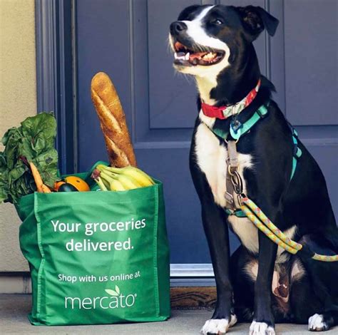 9 Best Vegan-Friendly Grocery Delivery Services