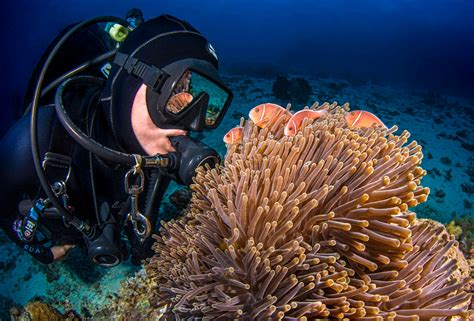 Great Barrier Reef Tours | Cairns Award Winning Dive & Snorkel Trip ...