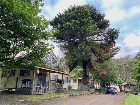 12 Dog-Friendly Caravan Parks in Australia with Fenced Sites - Travelnuity