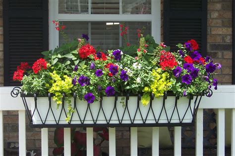 Supreme Railing Planter Boxes Fake Trailing Flowers Indoor Plant ...