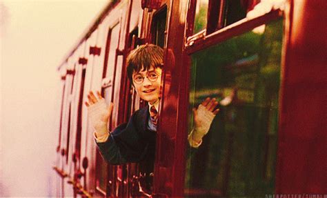 Harry Potter GIF - Find & Share on GIPHY