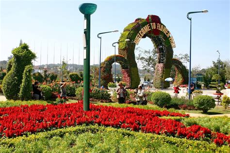 DaLat Flower Garden