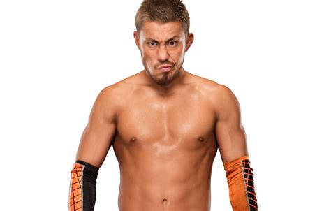 Wallpaper look, pose, wrestler, WWE, Raw, Akira Tozawa, Akira Tozawa ...