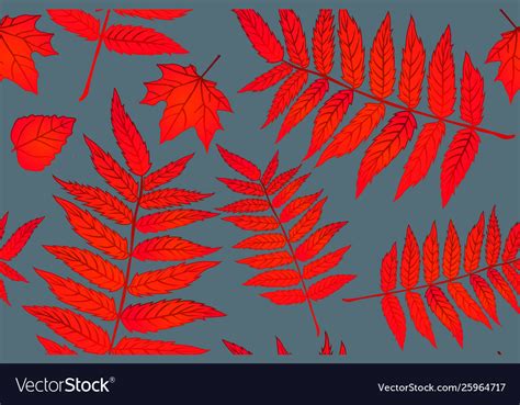 Red autumn leaves background pattern sheet Vector Image