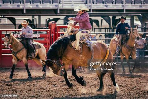 144 Wild Horse Bronco Stock Photos, High-Res Pictures, and Images - Getty Images