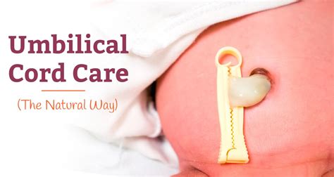 Umbilical Cord in Baby: How to Care for It Naturally | Baby care essentials, Baby care kit, New ...