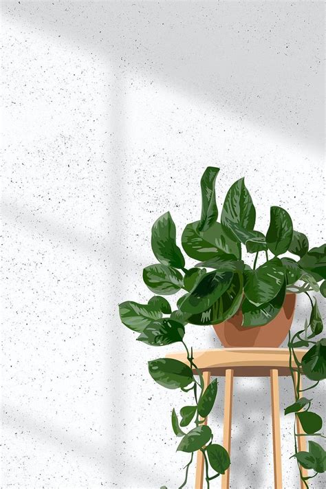 Indoor plant background aesthetic vector, hanging pothos white wall ...