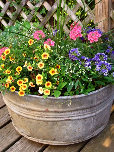 Meadow Muffin Gardens: A Canvas of Color with Container Planting