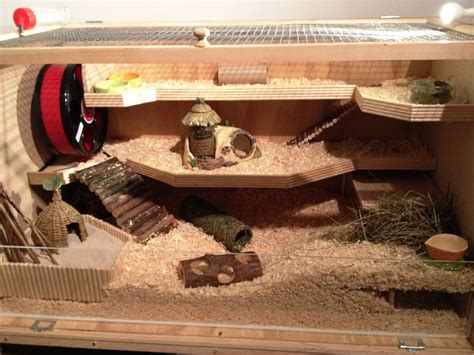 Basics Woodworking: Build wooden hamster cage Details