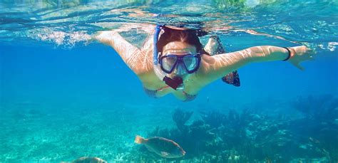 Best Packages for Snorkeling in Andaman | Ventura Travels