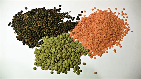 File:3 types of lentil.jpg - Wikipedia