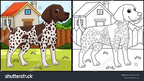 German Shorthaired Pointer Dog Coloring Page Stock Vector (Royalty Free) 2193037387 | Shutterstock