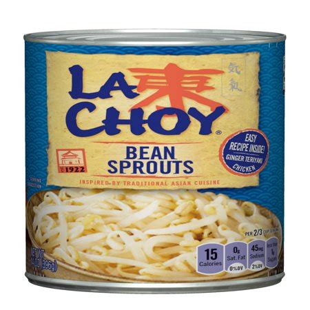 La Choy Bean Sprouts, 14 Ounce - Walmart.com