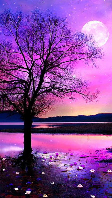 Pink romantic night | Beautiful nature wallpaper, Beautiful wallpapers ...