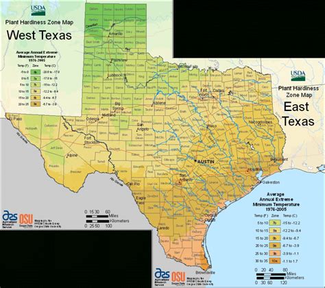 Texas Planting Zones Map - Printable Maps