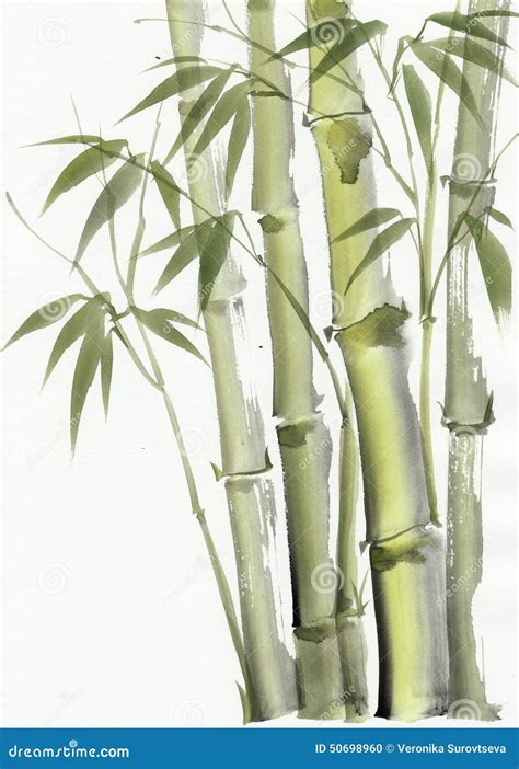 Watercolor Painting of Bamboo Stock Illustration - Illustration of ...