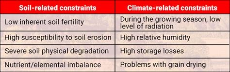 What is Shifting Cultivation - Characteristics, Process & Types