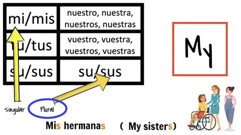 Possessive adjectives in Spanish for beginners: how to say my, your, his, her, their explanation ...