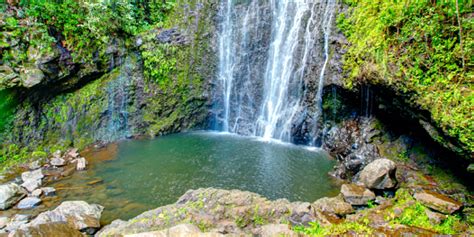 The 10 Best Hawaii Excursions | Hawaiian Island Cruise Tours