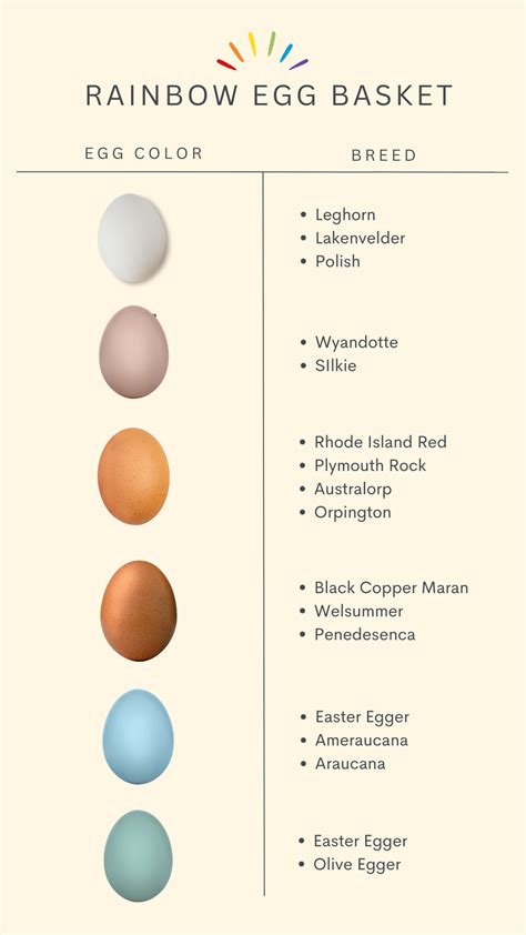 Ameraucana Egg Color Chart