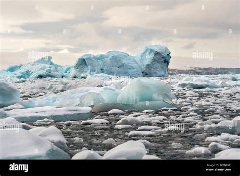 Antarctic Peninsula, icebergs Stock Photo - Alamy