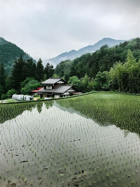 Visit japan s historic and beautiful rice fields – Artofit