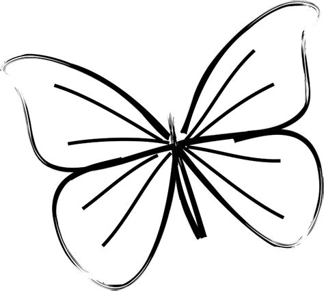 Simple Butterfly Drawings Kids