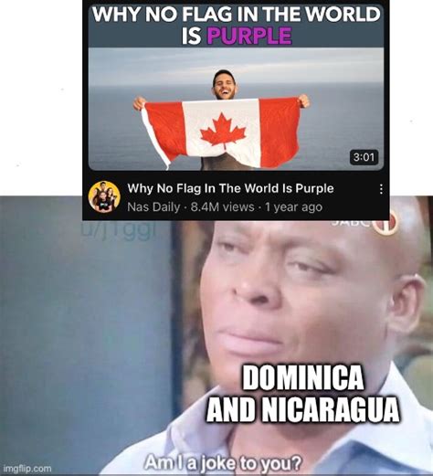 Why no flag in the world is purple - Imgflip