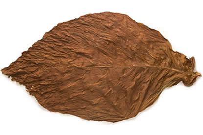 Fronto Leaf | Wholesale Tobacco | Wholeaf.com