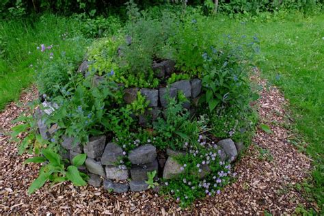Herb spiral: building your own spiral herb garden - Plantura