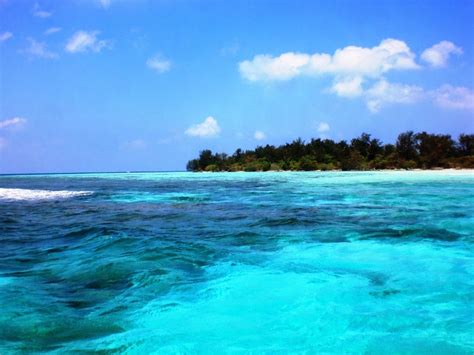 Taman Nasional Karimunjawa di Jepara, Jawa Tengah | Pariwisata Indonesia