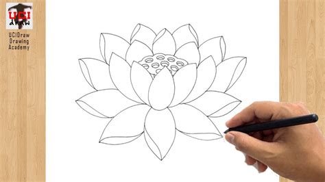 Lotus Flower Outline Drawing