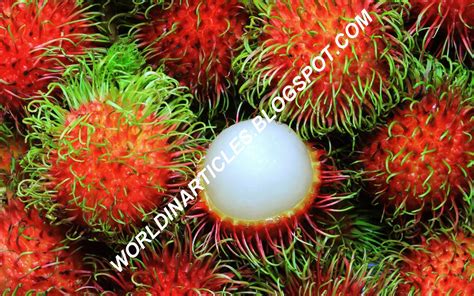 The Benefit Of Rambutan Fruit For People With Diabetes. | WORLD IN ARTICLES