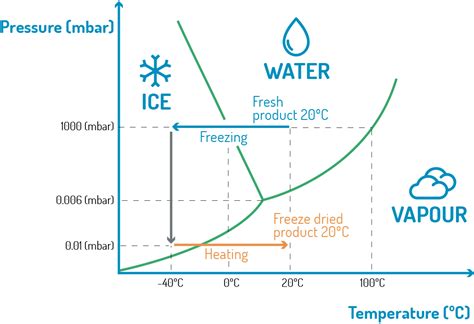 About freeze drying | Freeze drying process